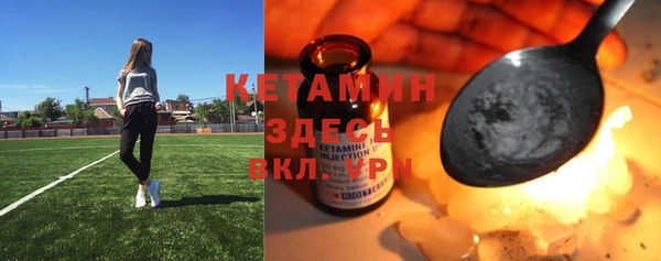 гашик Козловка