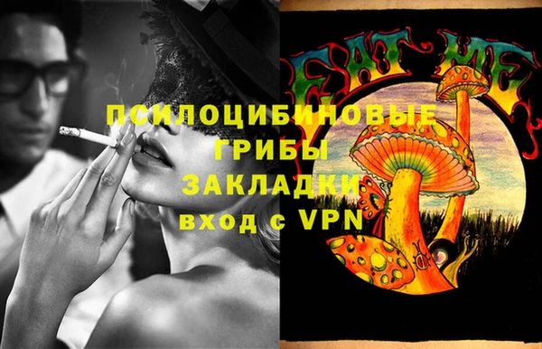 гашик Козловка