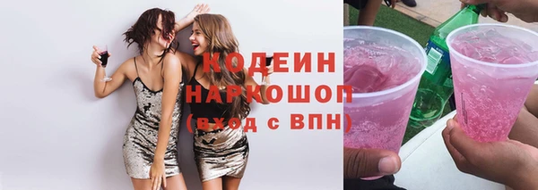 гашик Козловка