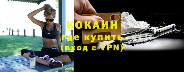 гашик Козловка