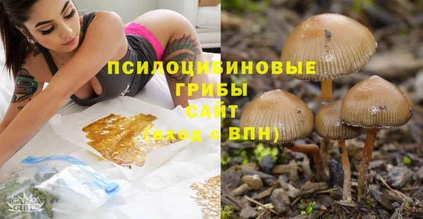 гашик Кодинск