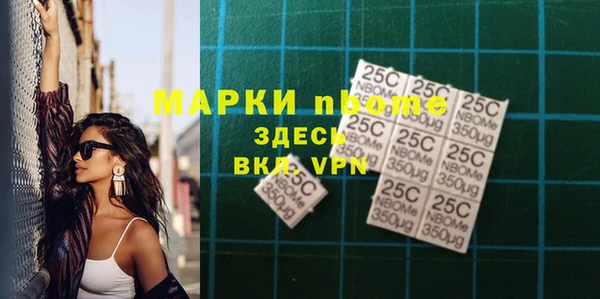гашик Козловка