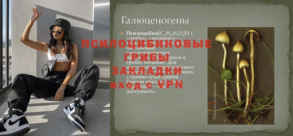 гашик Кодинск