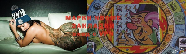 гашик Козловка